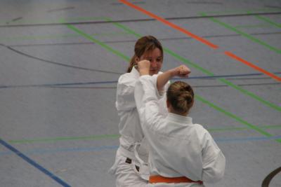 Foto des Albums: Lehrgang mit Sensei Schlatt