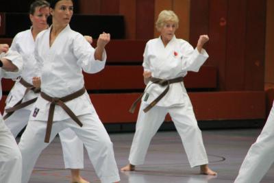 Foto des Albums: Lehrgang mit Sensei Schlatt