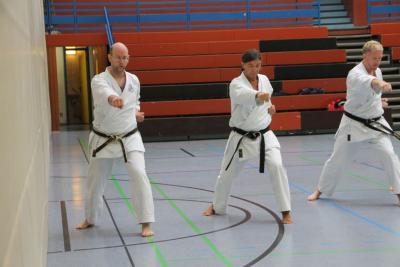 Foto des Albums: Lehrgang mit Sensei Schlatt