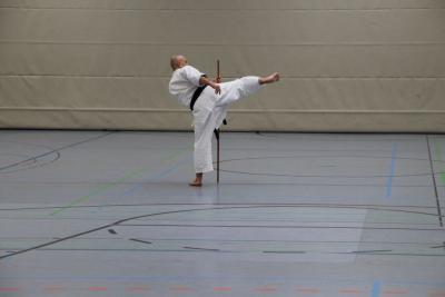 Foto des Albums: Lehrgang mit Sensei Schlatt