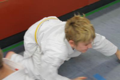 Foto des Albums: Lehrgang mit Sensei Schlatt
