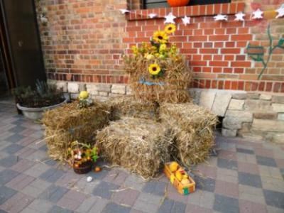 Foto des Albums: Halloweenfeier OT Frose