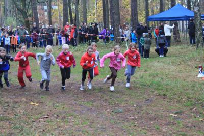 Foto des Albums: Herbstcross13