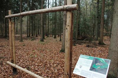 Foto des Albums: Eröffnung der Kniepersaison 2013/14