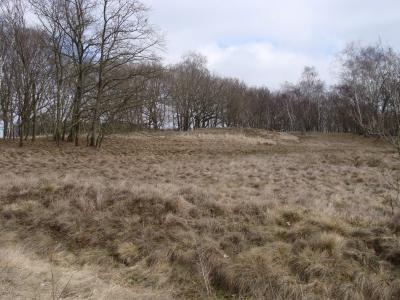 Foto des Albums: NLH Wanderung Bütlingen