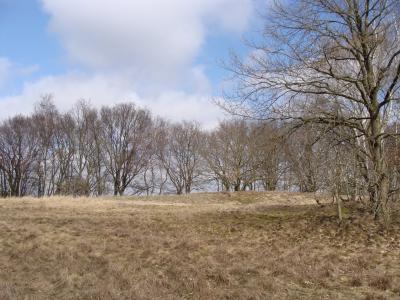 Foto des Albums: NLH Wanderung Bütlingen
