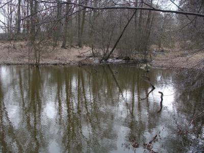 Foto des Albums: NLH Wanderung Bütlingen
