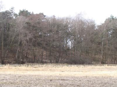 Foto des Albums: NLH Wanderung Bütlingen