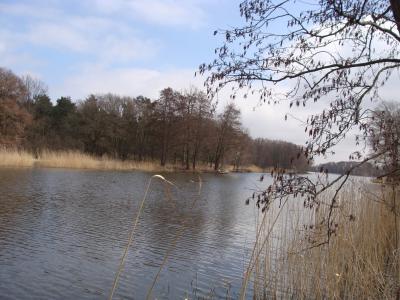Foto des Albums: NLH Wanderung Bütlingen