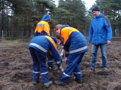 Foto des Albums: Eichenpflanzaktion Wulmstorfer Heide-Bornberg