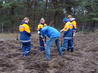 Foto des Albums: Eichenpflanzaktion Wulmstorfer Heide-Bornberg