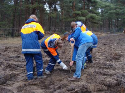 Foto des Albums: Eichenpflanzaktion Wulmstorfer Heide-Bornberg