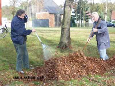 Foto des Albums: Herbstputz in Schwarzenburg