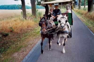 Foto des Albums: Dampfer- und Kremserfahrt der Senioren