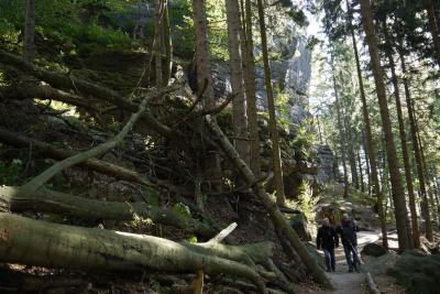 Foto des Albums: Freunde der  Abteilung TT in der Böhmischen Schweiz