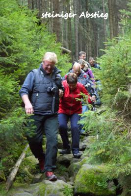 Foto des Albums: Freunde der  Abteilung TT in der Böhmischen Schweiz