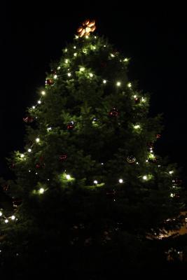 Foto des Albums: Der Wittstocker Marktplatz erstrahlt im Lichterglanz (01.12.2013)