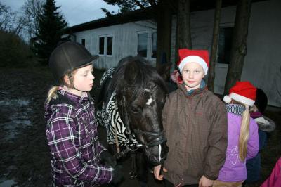 Foto des Albums: Weihnachtsreiten 2013 (30.11.2013)