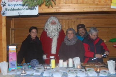 Foto des Albums: Unser Verein bei Advent in den Höfen in Ribnitz, 14. Dez. 2013
