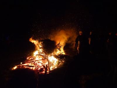 Foto des Albums: Weihnachtsbaum verbrennen (11. 01. 2014)
