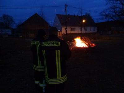 Foto des Albums: Weihnachtsbaum verbrennen (11. 01. 2014)