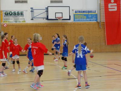Foto des Albums: Kreis- und Regionalfinale Handball der Mädchen Dezember 2013