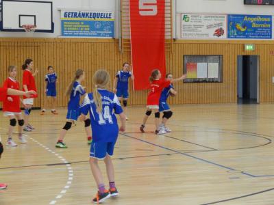 Foto des Albums: Kreis- und Regionalfinale Handball der Mädchen Dezember 2013
