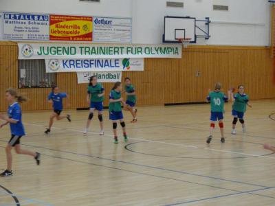 Foto des Albums: Kreis- und Regionalfinale Handball der Mädchen Dezember 2013