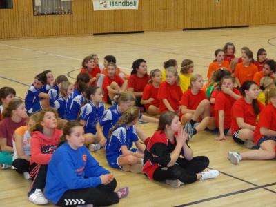 Foto des Albums: Kreis- und Regionalfinale Handball der Mädchen Dezember 2013