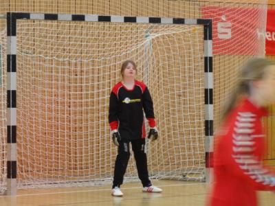Foto des Albums: Kreis- und Regionalfinale Handball der Mädchen Dezember 2013