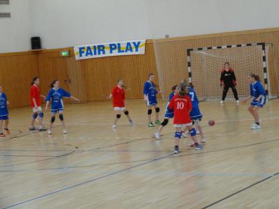 Foto des Albums: Kreis- und Regionalfinale Handball der Mädchen Dezember 2013