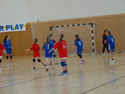Foto des Albums: Kreis- und Regionalfinale Handball der Mädchen Dezember 2013
