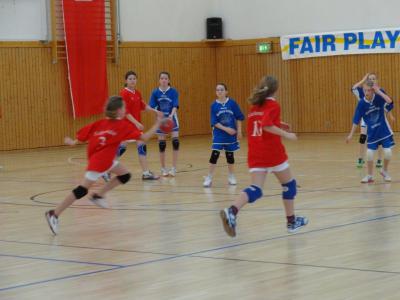 Foto des Albums: Kreis- und Regionalfinale Handball der Mädchen Dezember 2013
