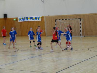 Foto des Albums: Kreis- und Regionalfinale Handball der Mädchen Dezember 2013