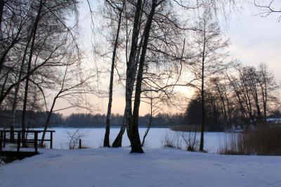 Fotoalbum Ganz in weiß - ein Winterspaziergang um den Falkenhagener See