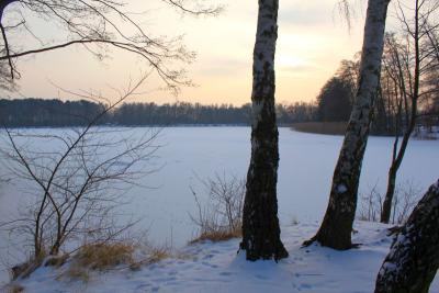 Foto des Albums: Ganz in weiß - ein Winterspaziergang um den Falkenhagener See