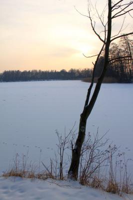 Foto des Albums: Ganz in weiß - ein Winterspaziergang um den Falkenhagener See