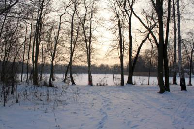 Foto des Albums: Ganz in weiß - ein Winterspaziergang um den Falkenhagener See