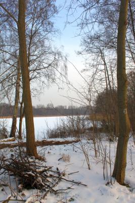 Foto des Albums: Ganz in weiß - ein Winterspaziergang um den Falkenhagener See