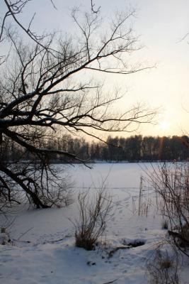 Foto des Albums: Ganz in weiß - ein Winterspaziergang um den Falkenhagener See