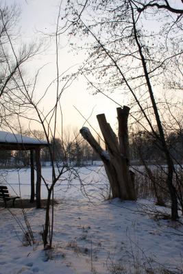 Foto des Albums: Ganz in weiß - ein Winterspaziergang um den Falkenhagener See