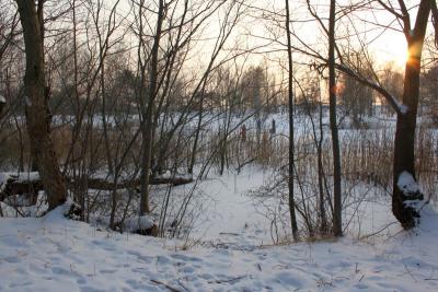 Foto des Albums: Ganz in weiß - ein Winterspaziergang um den Falkenhagener See