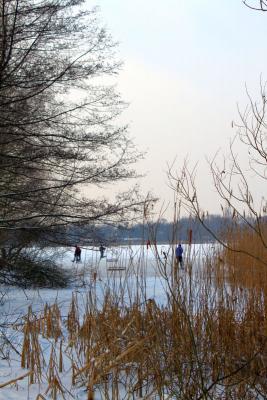 Foto des Albums: Ganz in weiß - ein Winterspaziergang um den Falkenhagener See
