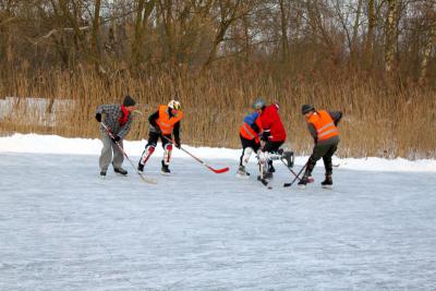 Foto des Albums: Ganz in weiß - ein Winterspaziergang um den Falkenhagener See