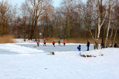 Foto des Albums: Ganz in weiß - ein Winterspaziergang um den Falkenhagener See