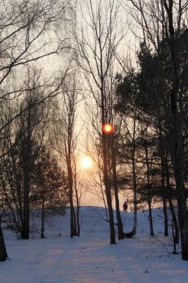 Foto des Albums: Ganz in weiß - ein Winterspaziergang um den Falkenhagener See