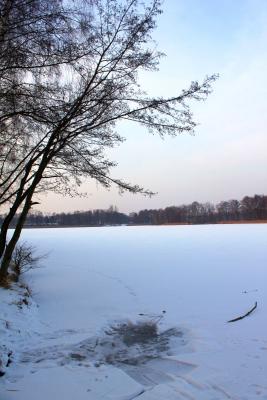 Foto des Albums: Ganz in weiß - ein Winterspaziergang um den Falkenhagener See
