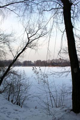 Foto des Albums: Ganz in weiß - ein Winterspaziergang um den Falkenhagener See