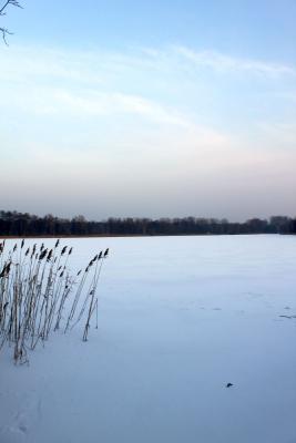 Foto des Albums: Ganz in weiß - ein Winterspaziergang um den Falkenhagener See
