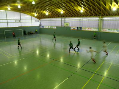 Foto des Albums: Hallenturnier in Cunewalde am 2.2.14